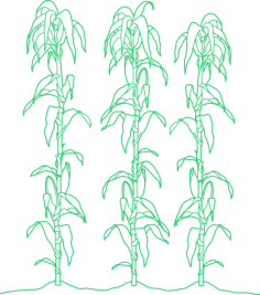 Plants Agriculture Sticker Outline Svg File, Free Vectors File
